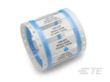 TMS-SCE.png