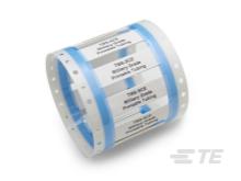 TMS-SCE.jpg